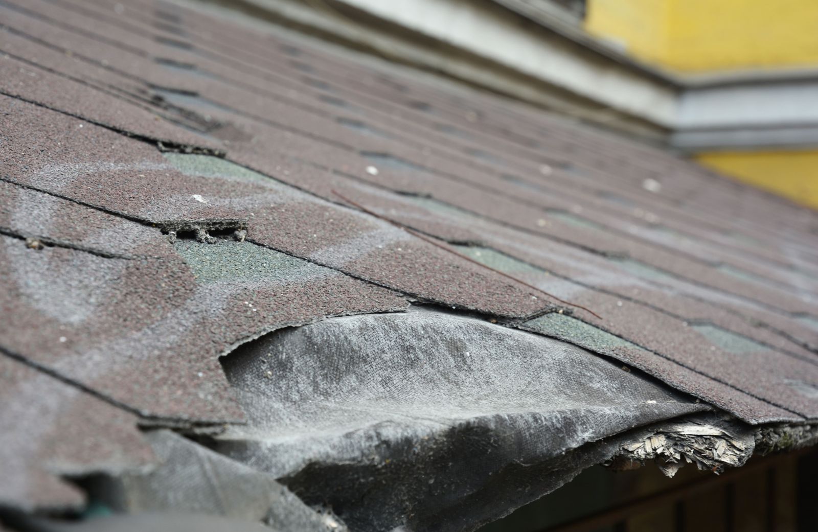 Pelican Roofs SoCal Images