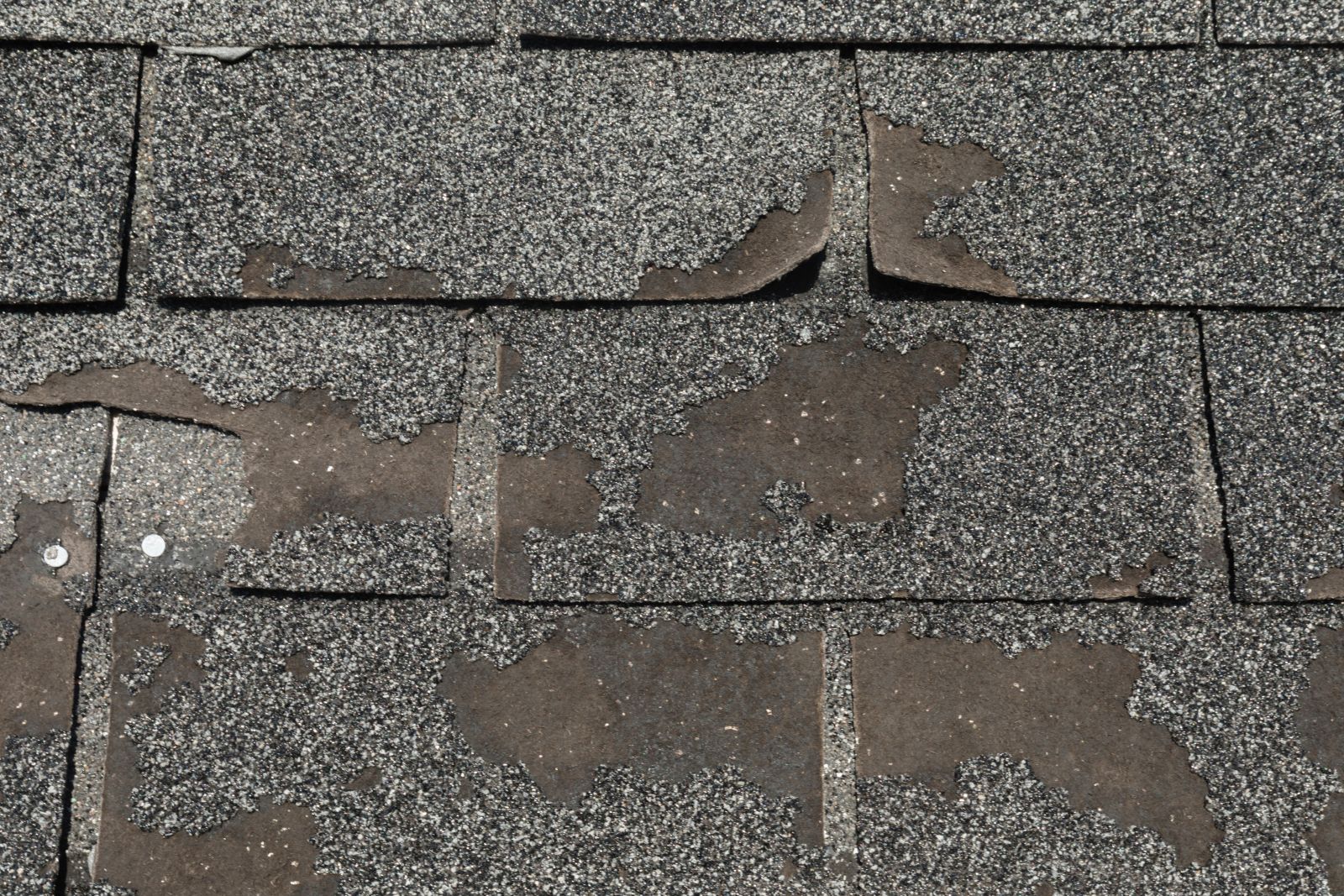 Pelican Roofs SoCal Images